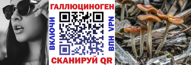 ОМГ ОМГ рабочий сайт  Завитинск  Галлюциногенные грибы Magic Shrooms 