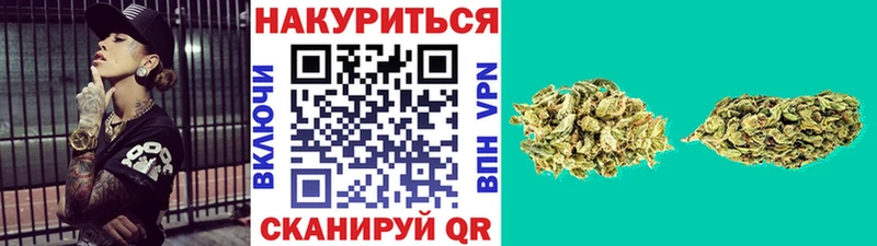 цены   Завитинск  Канабис планчик 